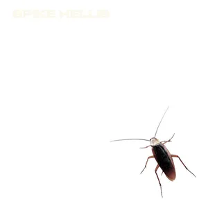 Spike Hellis - Successor