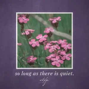 Counterexpressive - So Long As There Is Quiet