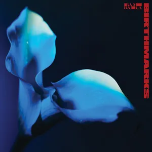 Bambara - Birthmarks