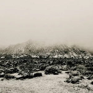 MIZMOR - Mnemonic: Ambient Mosaic