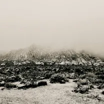 MIZMOR - Mnemonic: Ambient Mosaic