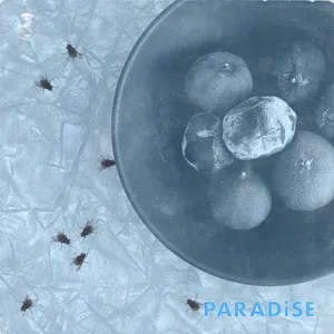 Cell Rot - Paradise