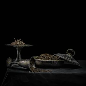 Holy Scum - All We Have Is Never